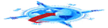 Brizo Global Logistics Pvt. Ltd